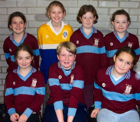 The St John's Indoor Camogie team.